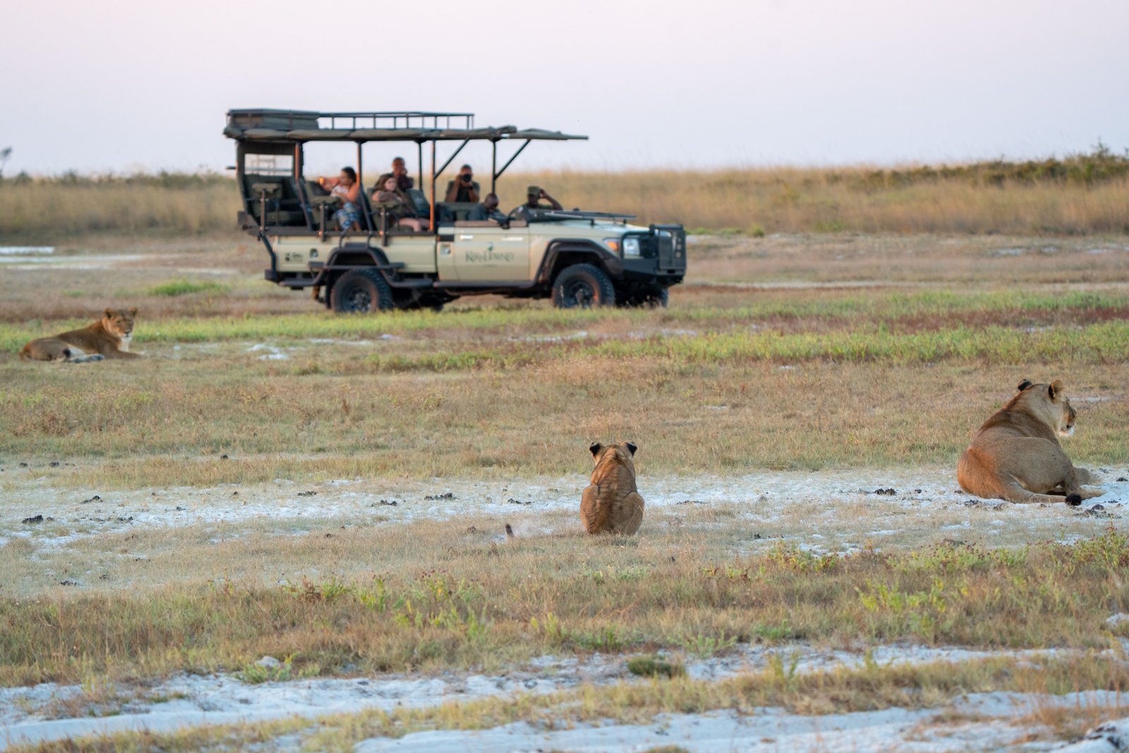 Safari Experiences with Katemba Luke